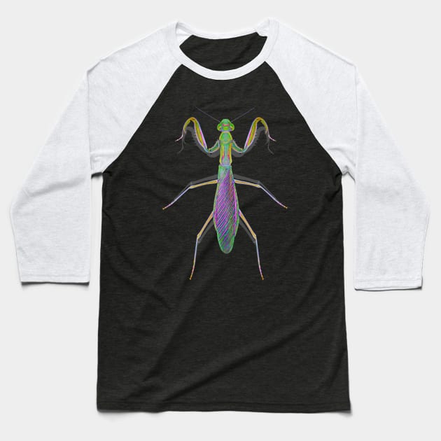 Praying Red Tinged Mantis Baseball T-Shirt by crunchysqueak